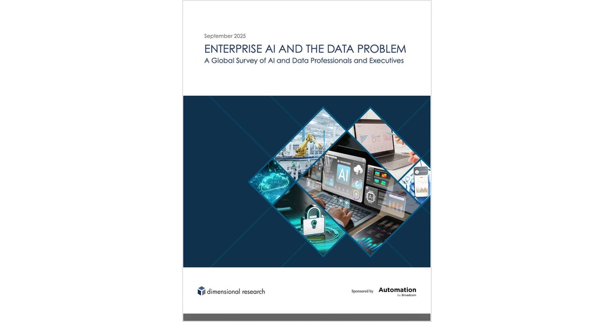 A Global Survey of AI and Data Professionals and Executives