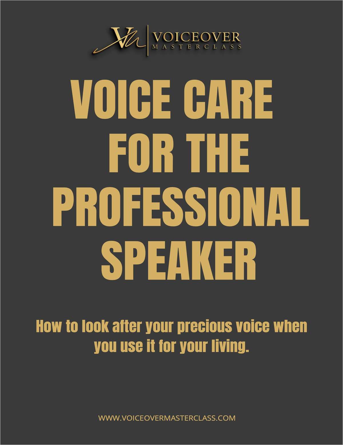Voice Care for the Professional Speaker