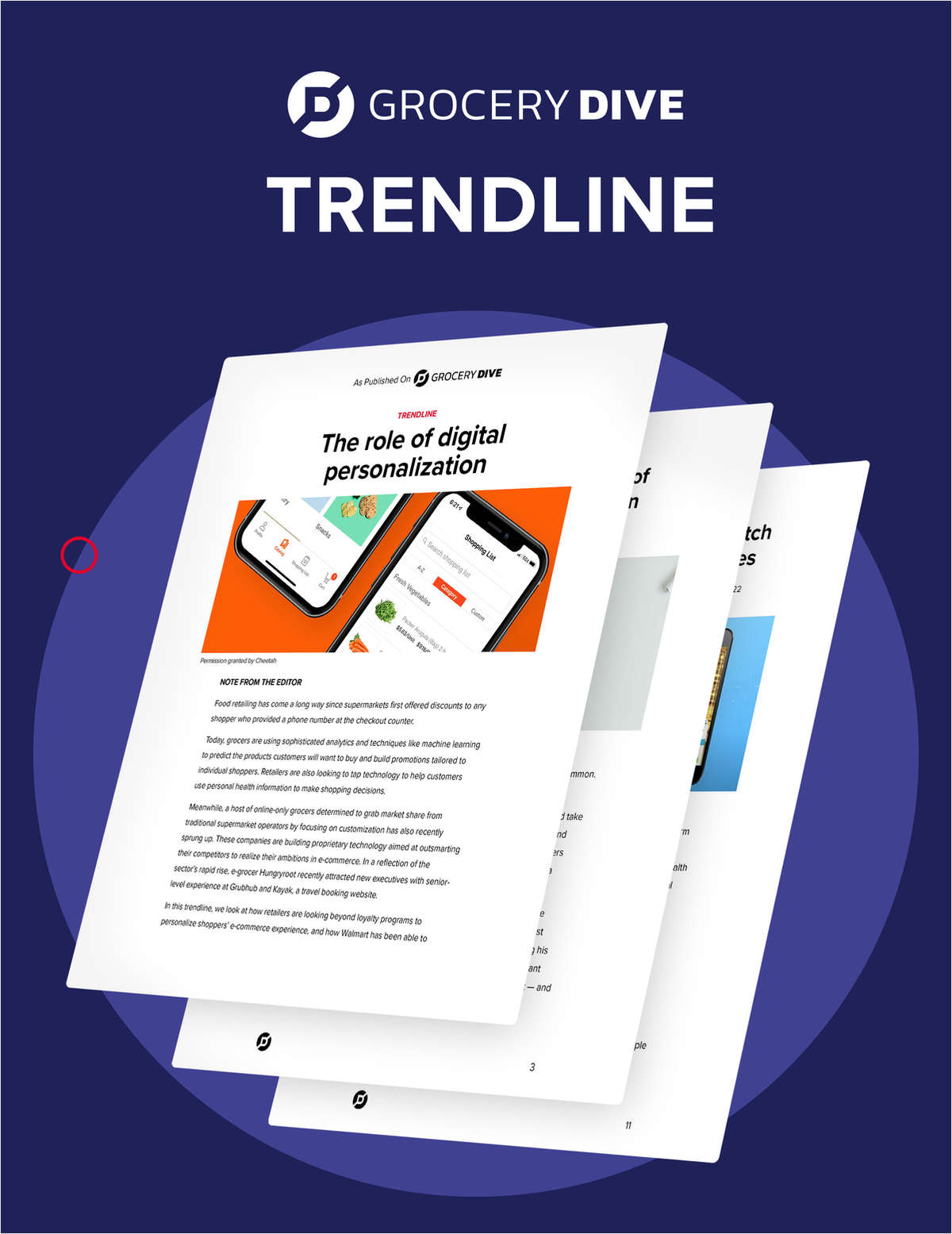 The role of digital personalization