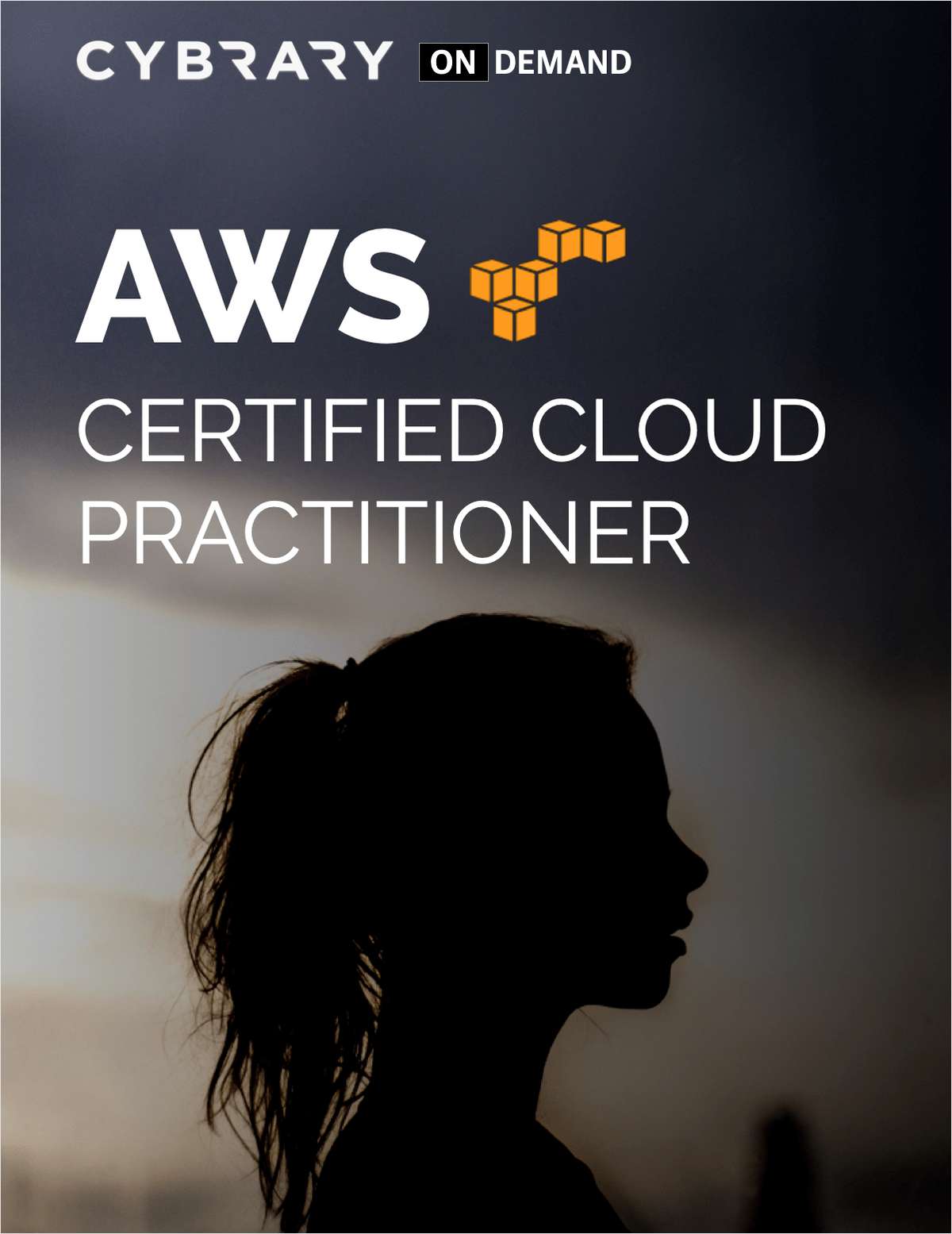 AWS Certified Cloud Practitioner