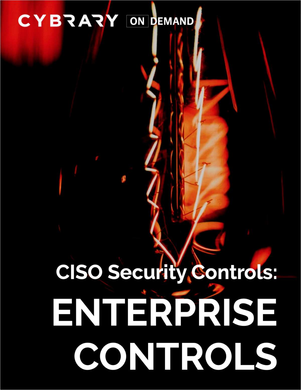CISO Security Controls: Enterprise Controls